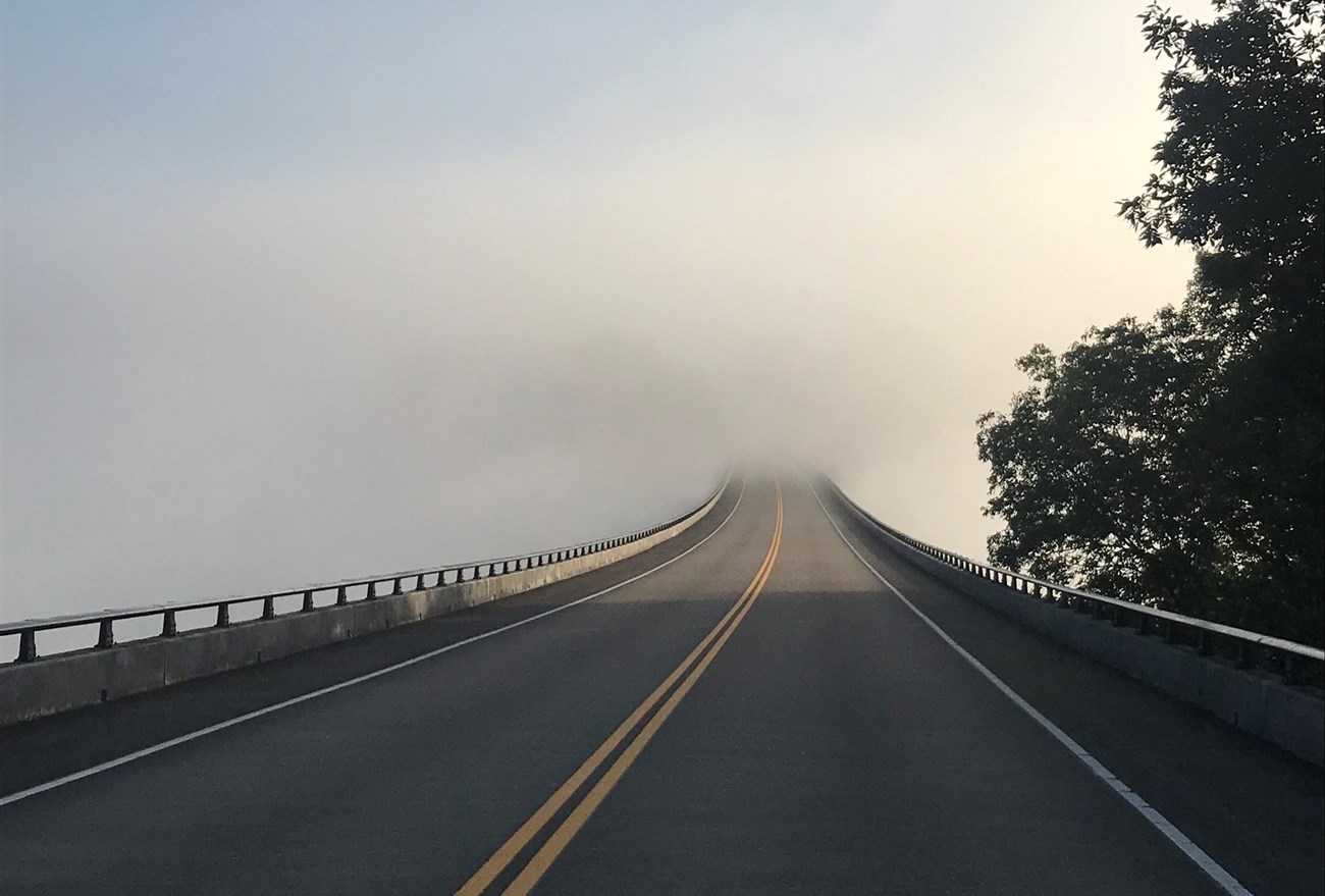 Parkway disappearing into the fog