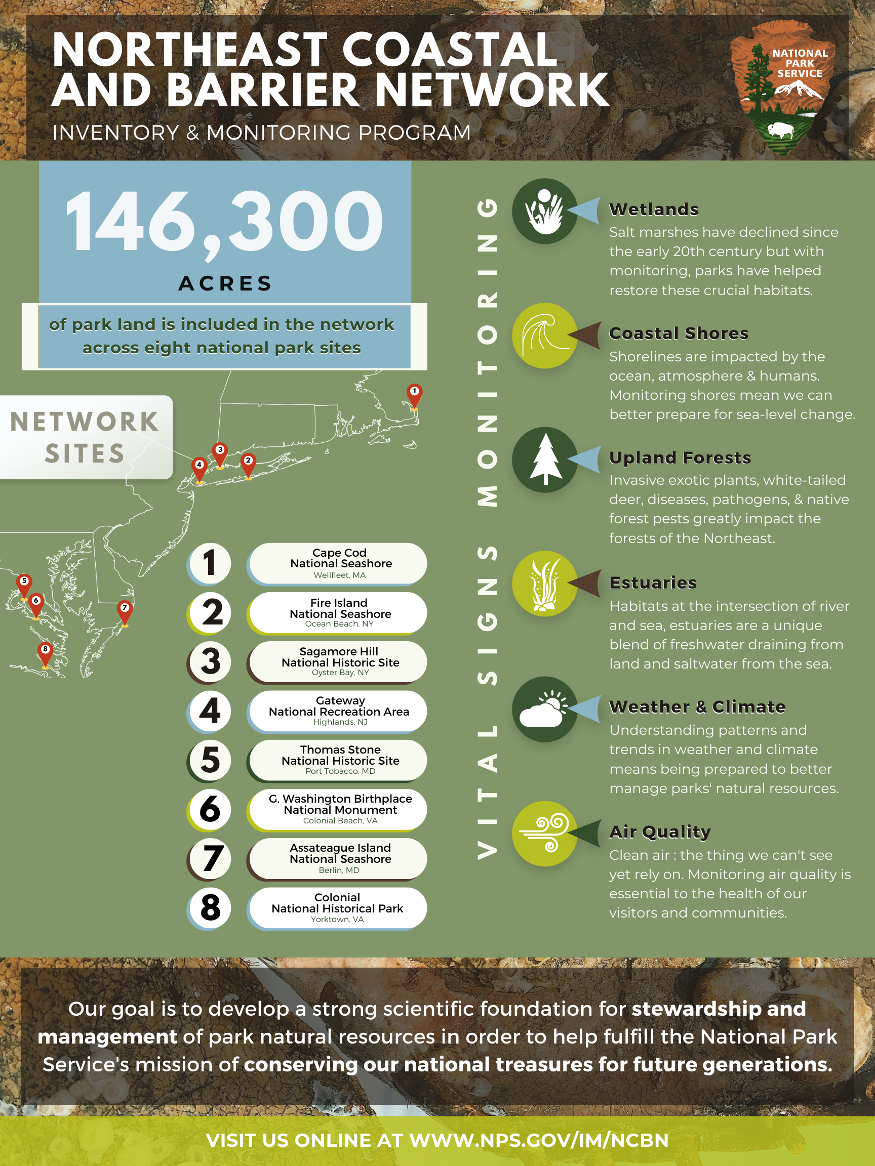 Infographic with text, icons, and an image of a horseshoe crab.