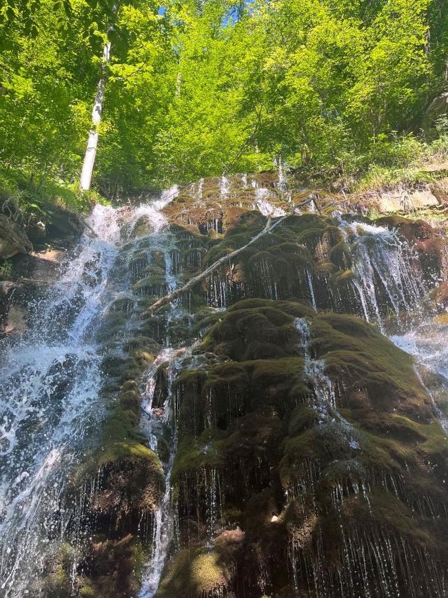 Cascading waterfall trickles down moss-covered rocks. Green trees in background.