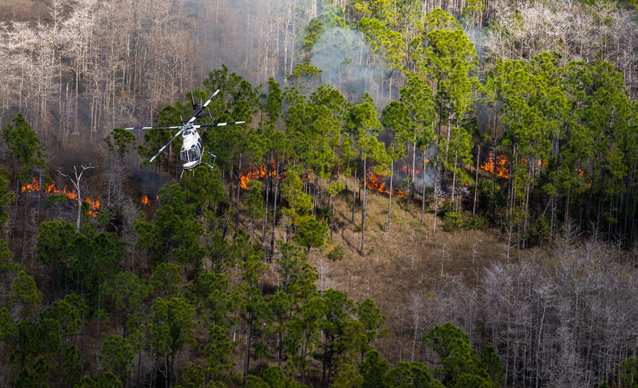 A helicopter flies over a forest on fire.