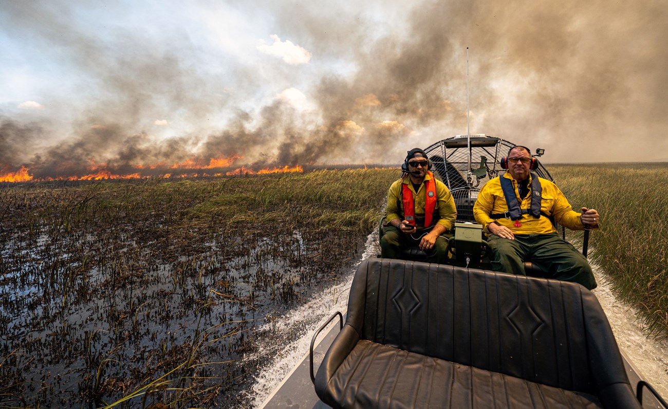 Wildland firefighters ride in an airboat through marsh.
