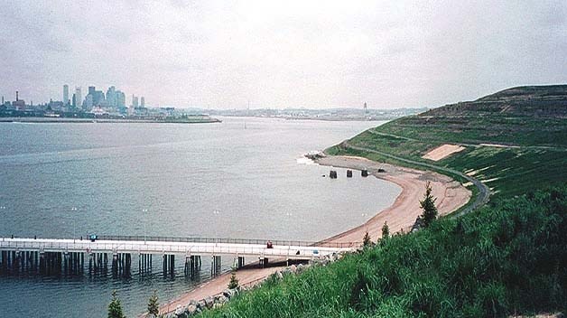 Overhead view of Spectacle Island looking lush and green with Boston City Skyline in the distance