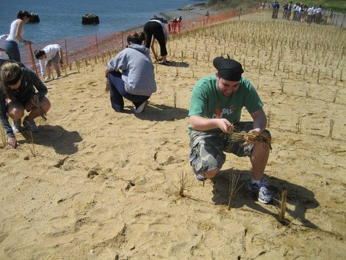 Photo of a man kneeling on a sandy beach planting trees