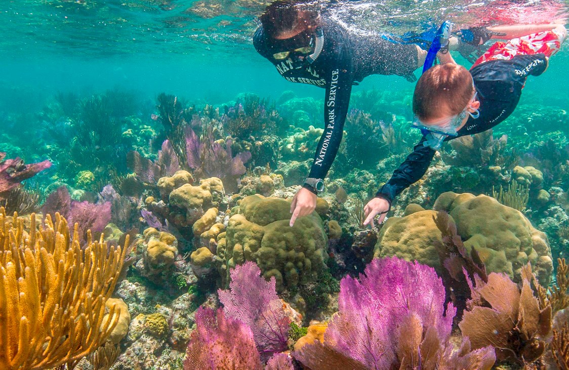 An adult in a National Park Service diving uniform with a child swim underwater and point to coral in a colorful coral reef