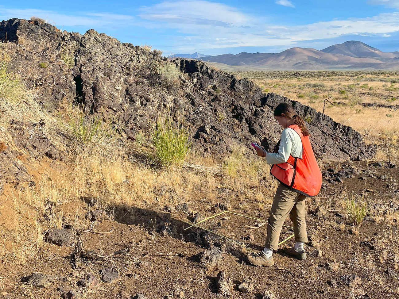 Scientist in an orange safety vest entering data on an electronic device beside a plot of plants and rocky soil in a vast open landscape of rocks, hills, and shrubland.