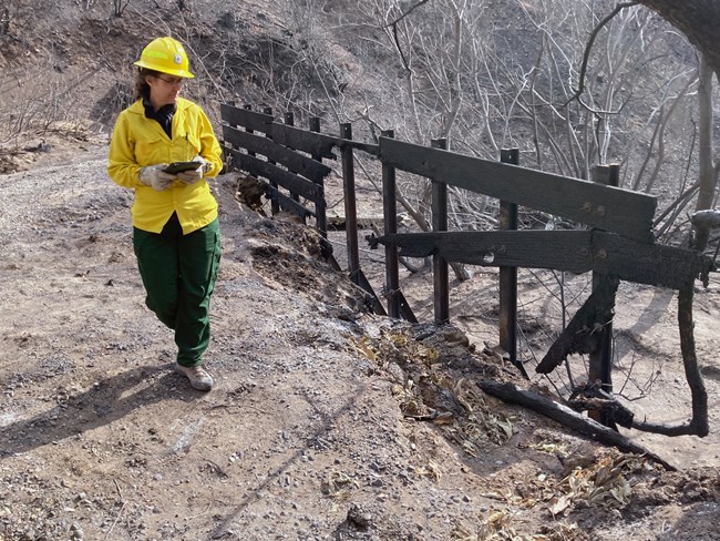 A woman in firefighting gear holds an electronic tablet while looking at burned fencing.