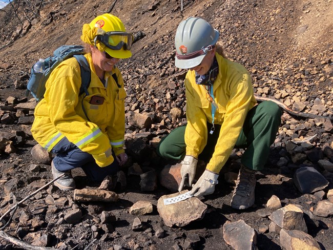 Two people in firefighting gear squat in a burned scree area and focus on one rock measuring a portion with a ruler.