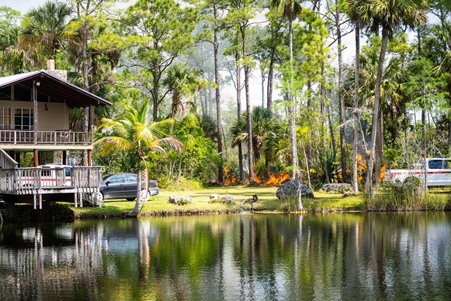 Fire burns in pine forest and undergrowth near a house and waterway.
