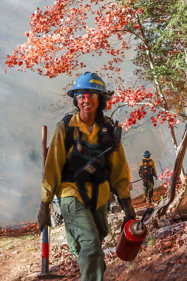 Staff ignites prescribed fire at Great Smoky National Park.