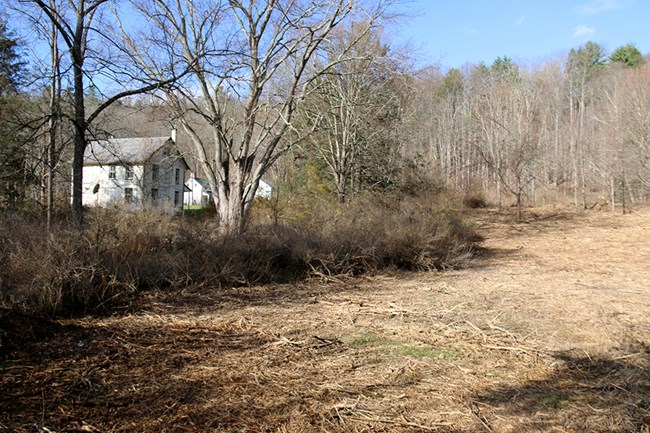 Mastication of fuels surrounding the historic township of Walpack PA, within Delaware Water Gap National Recreation Area.