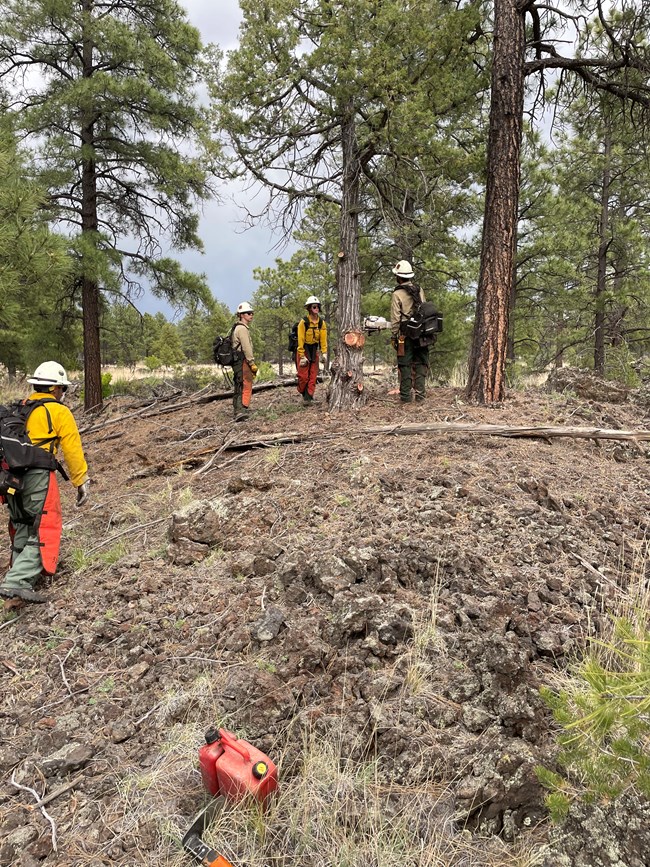 Several wildland firefighters stand in a forest clearing talking; a gas can is in the foreground