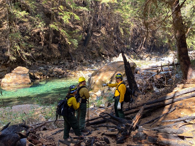 3 people in yellow shirts and hard hats talk near a stream