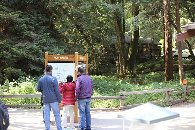 Three people look at a park map while a cabin is visible in the woods in the background.