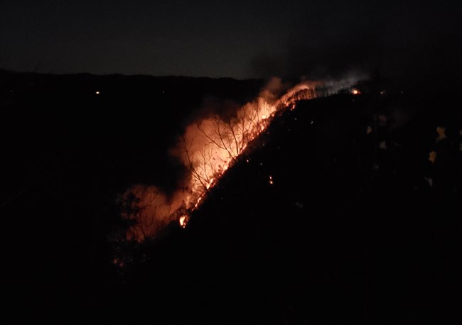 Flames on a hillside at night.
