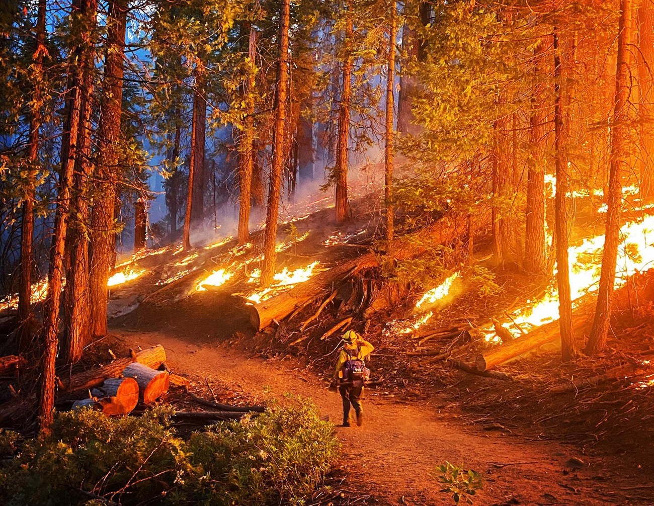 A firefighter walks along a road at night beside flames engulfing vegetation.