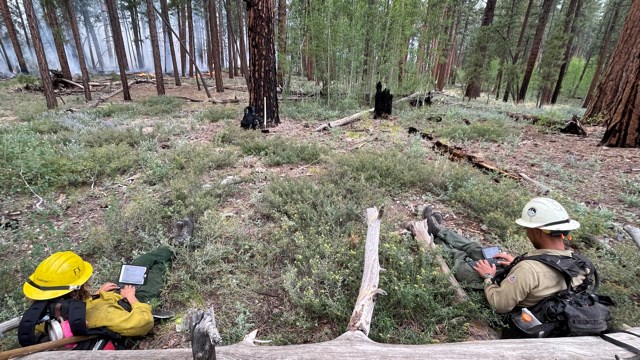 Two firefighters sit in the forest entering data into tablets.