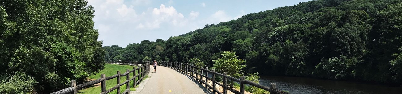 A woman walks down a paved trail with trees on either side and log fences.