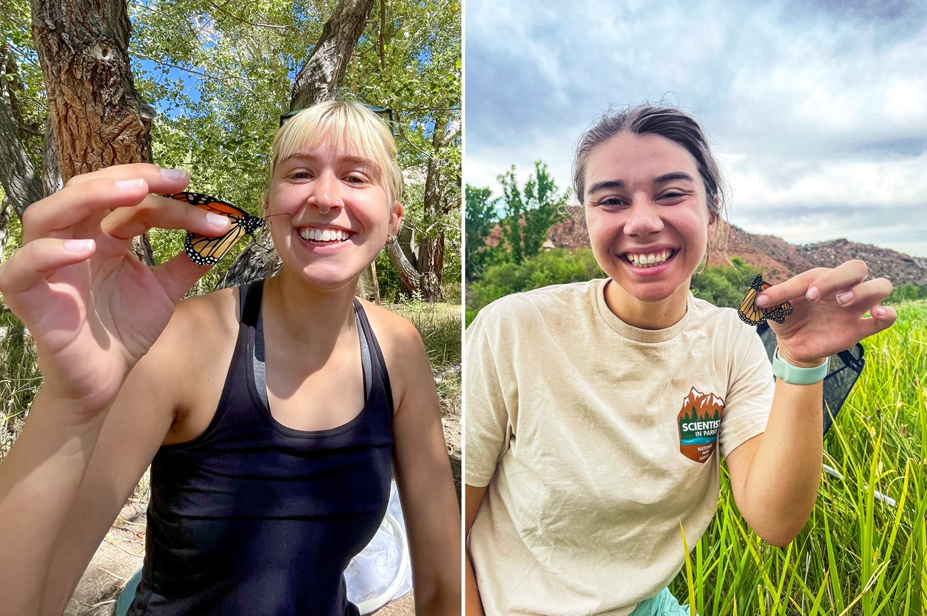 Separate photos of two young women, one in a woodland (Kowalski) and the other in a grassland backed by red hills (Crawford), each holding monarch butterflies and smiling at the camera.