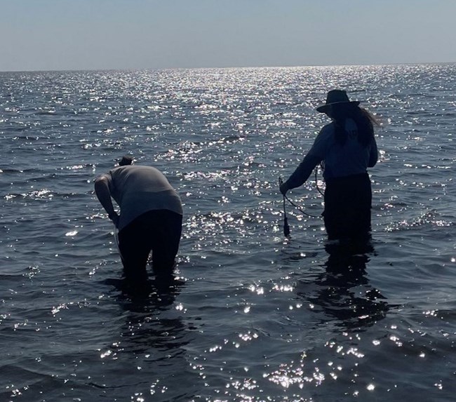 Two people standing in the ocean up to their knees