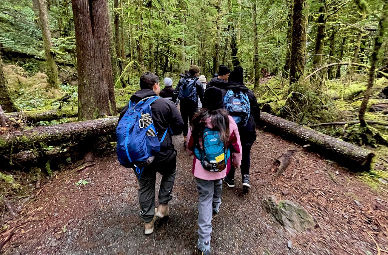Group of visitors walking in the woods