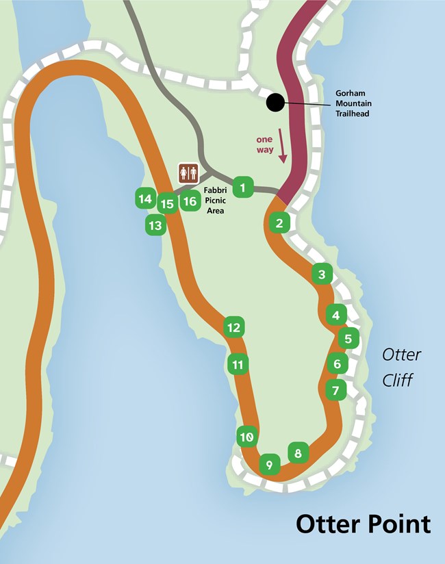 Map of Otter Point Self-Guided Walk Stops