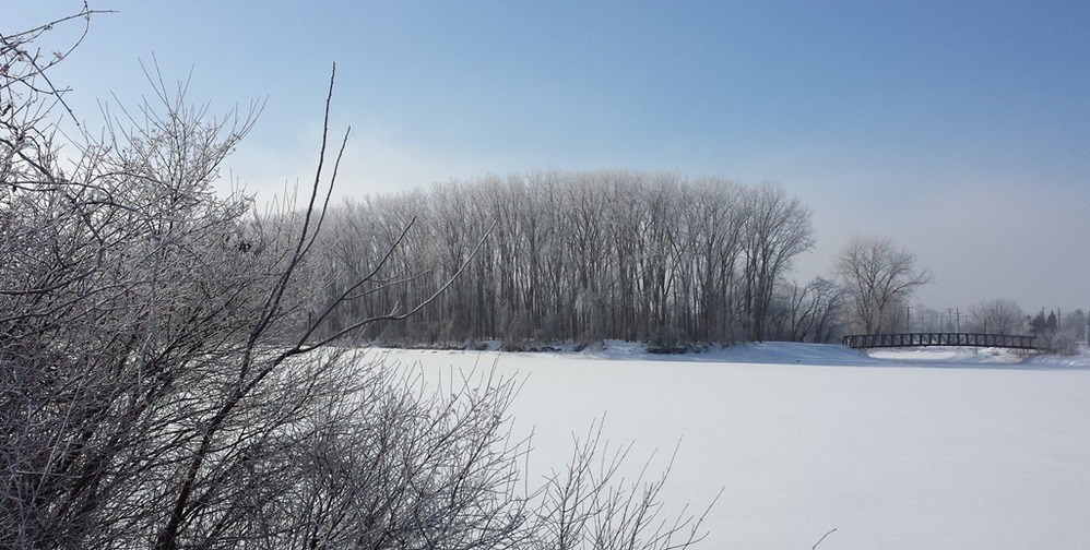 The Frozen River Raisin