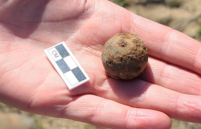 A small rust and dirt encrusted iron sphere held between the palm and fingers of an unknown archeologist.