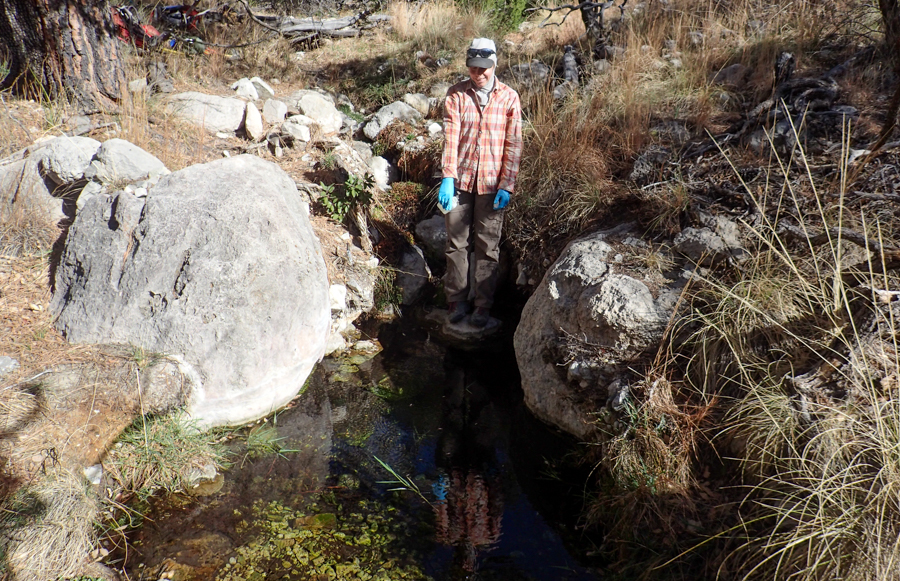 A person points to a pool in a stream channel flanked by boulders, grasses, and trees.