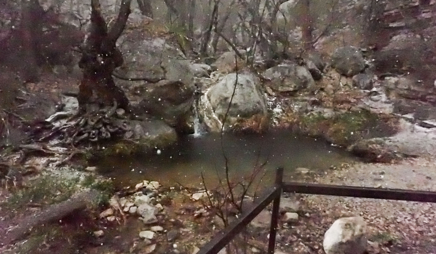 A channel of water flowing into a pool in a drainage filled with boulders and trees on a rainy day.