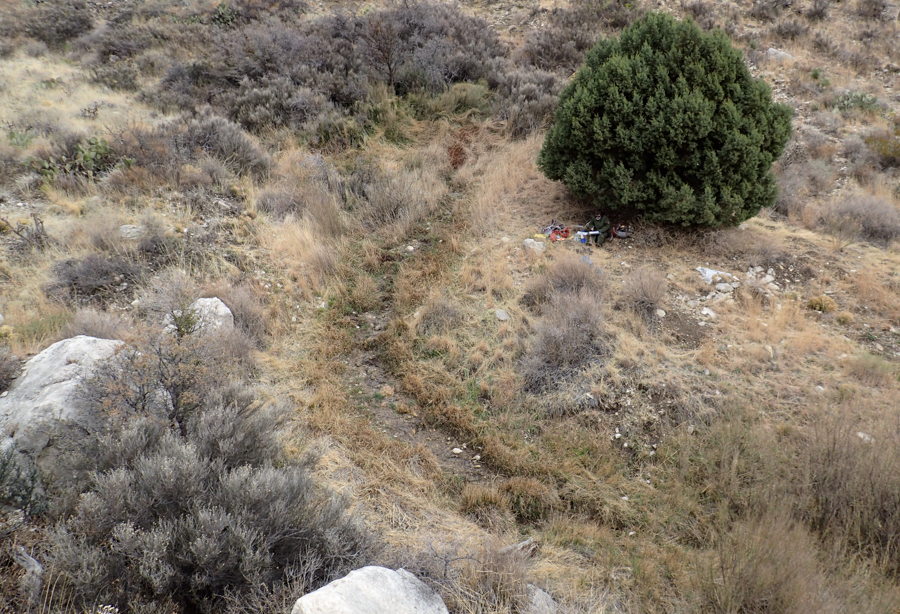 Overview of a narrow, shallow stream curving through an open drainage lined with grasses on a slope in an open desert grassland with scattered shrubs.