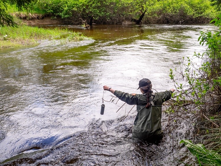 Person in NPS uniform standing in a river and dropping an instrument on a line into the water