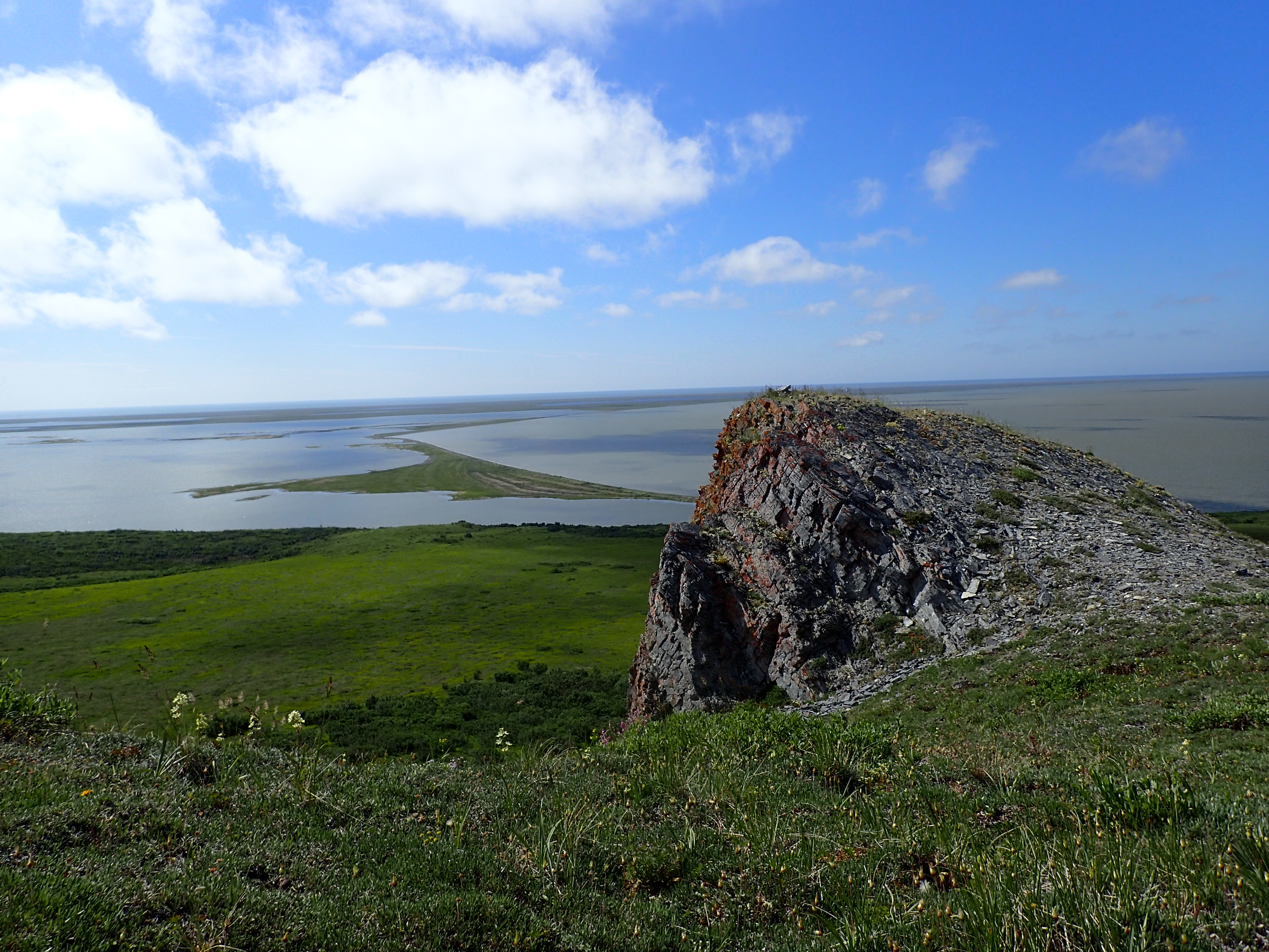 Krusenstern Lagoon, a large lagoon spans the background as viewed from a rocky perch in the flowering tundra in the foreground.