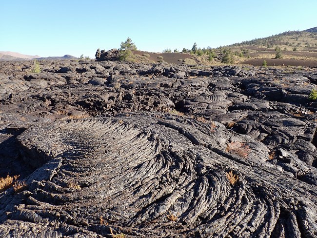 black lava flows that have many folds and wrinkles ending against a slope with sagebrush and pine trees