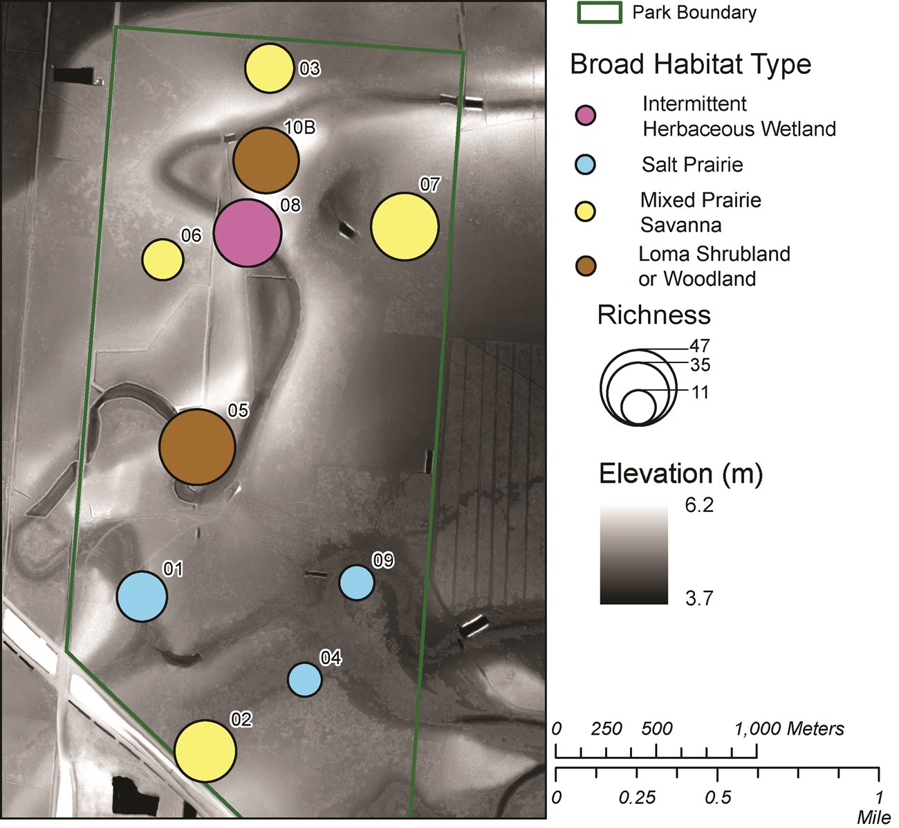 Map showing vegetation sampling points scale to show richness and colored to represent habitat type.
