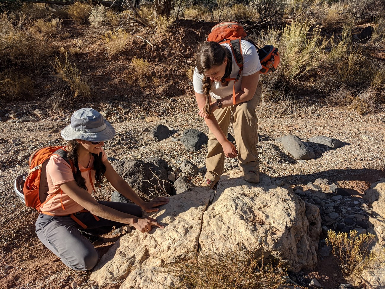 two people examine fossils in a large rock