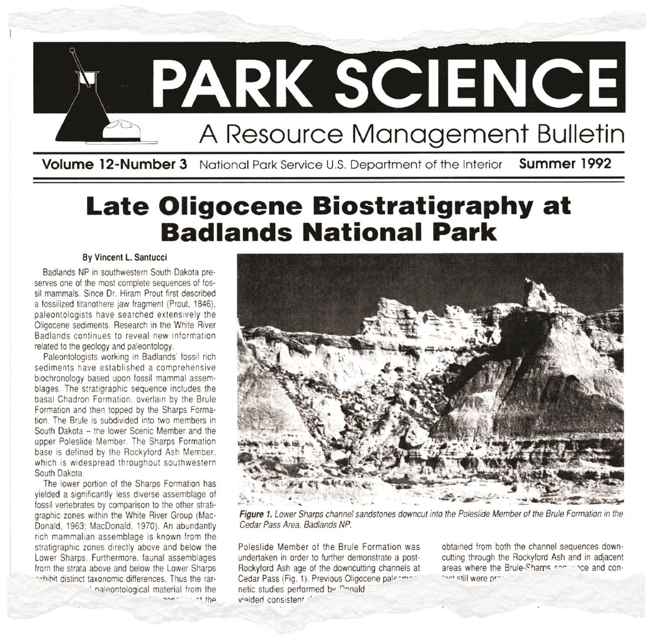 Clip of front page of Park Science bulletin, summer 1992.   Next to the title is a cartoon of a ranger flat hat and a chemistry flask. The article features a black and white photograph of eroded badlands.