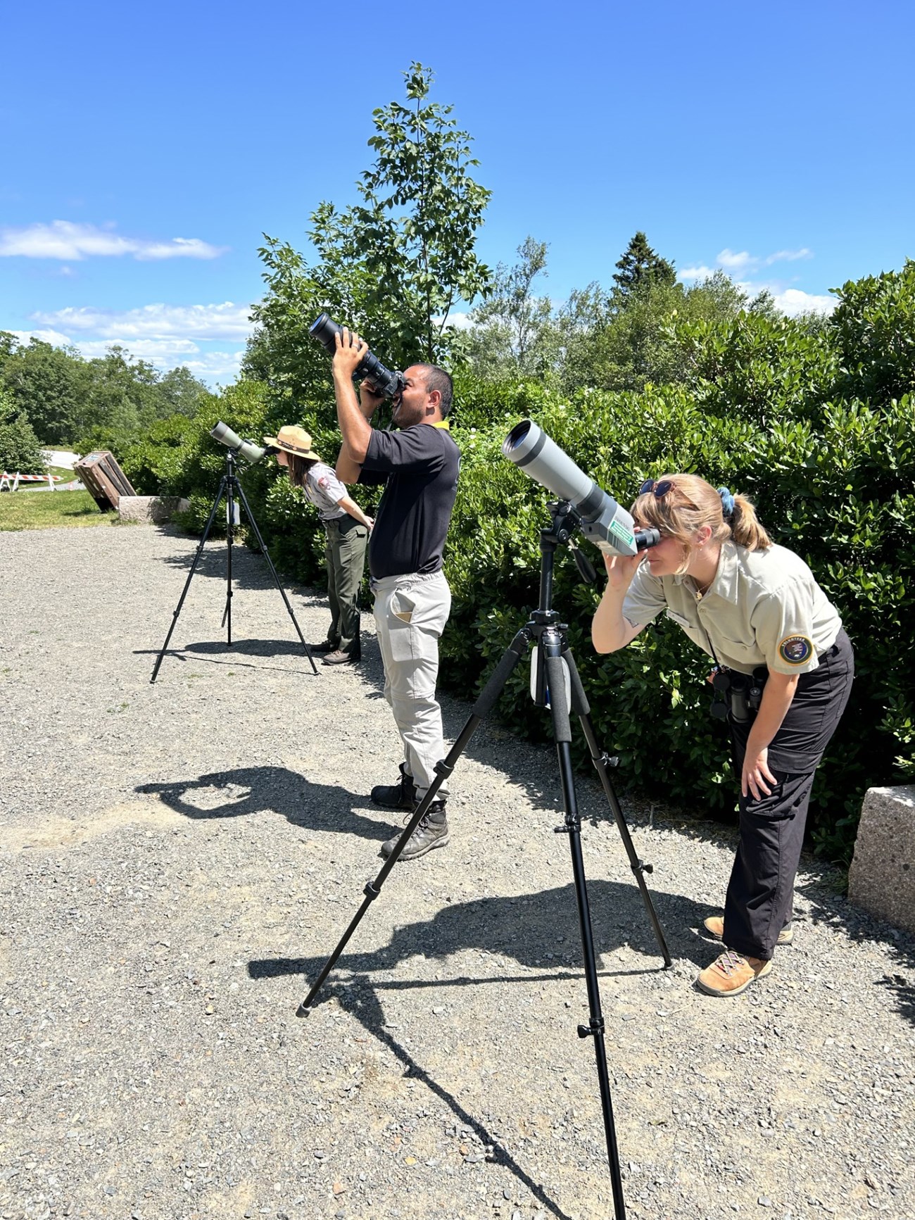 Park staff and interns view the falcons through scopes and cameras at the program site.