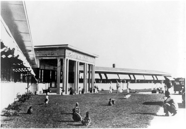 Black and white photo of the exterior of a one-story building with awnings over the windows. Staff dressed in white escort guests into the hotel. One guest kneels to watch the birds.
