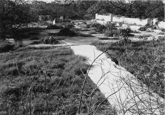 Black and white photo of a concrete floor and low wall remnants, overgrown with grasses and trees.
