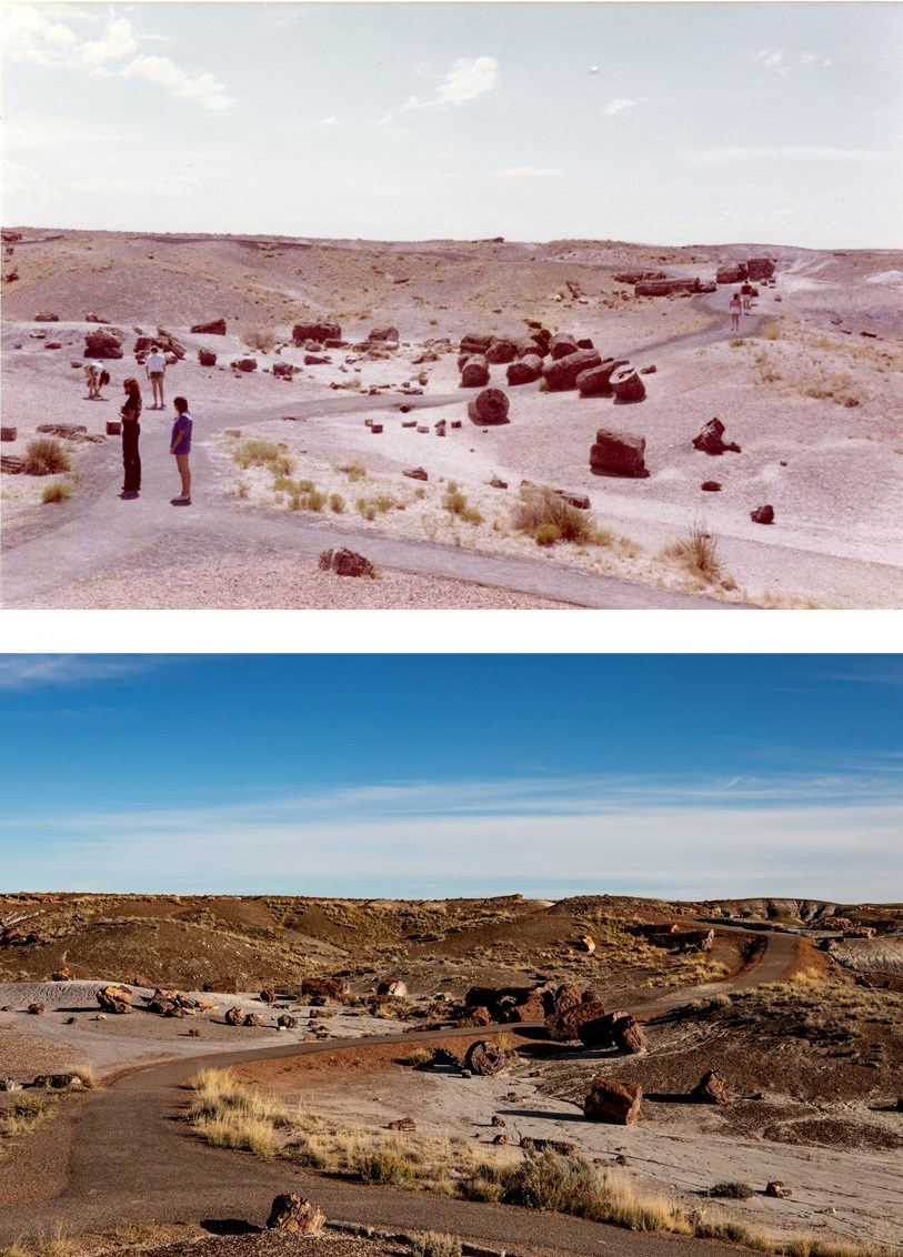 Two photos comparing the same area of a colorful badlands landscape with a paved trail winding through. Large fossil logs are visible in both photos in the same position.