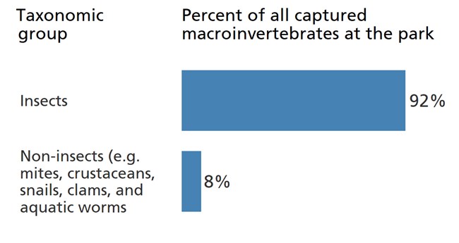 Blue bar chart showing insects make up 92% of the park's benthic macroinvertebrate community.