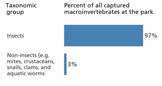 Blue bar chart showing insects make up 97% of the park's benthic macroinvertebrate community.