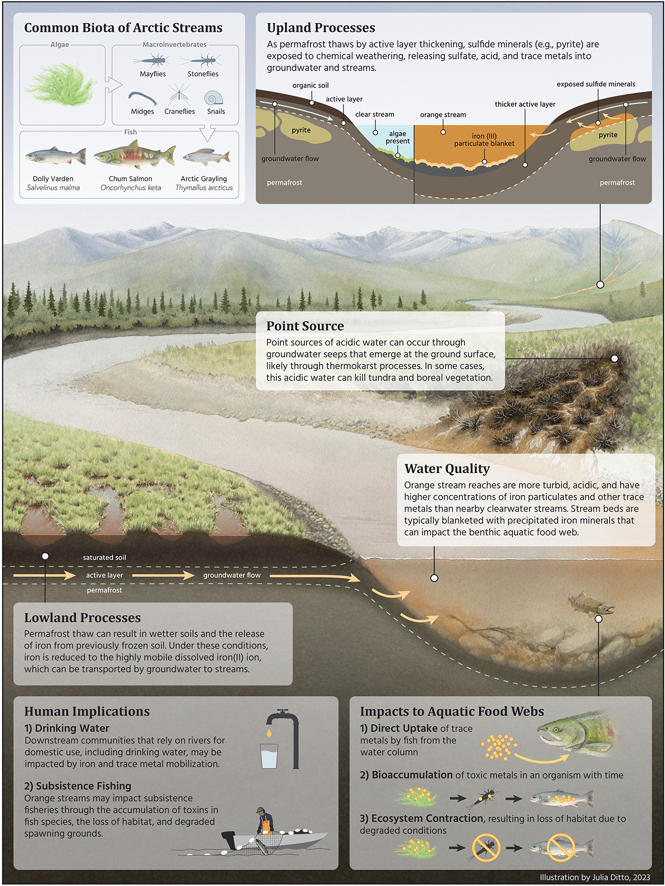 Illustration of an Arctic river flowing down from the mountains, including an underground/underwater portion, with inset boxes explaining potential processes in different parts of the illustration.