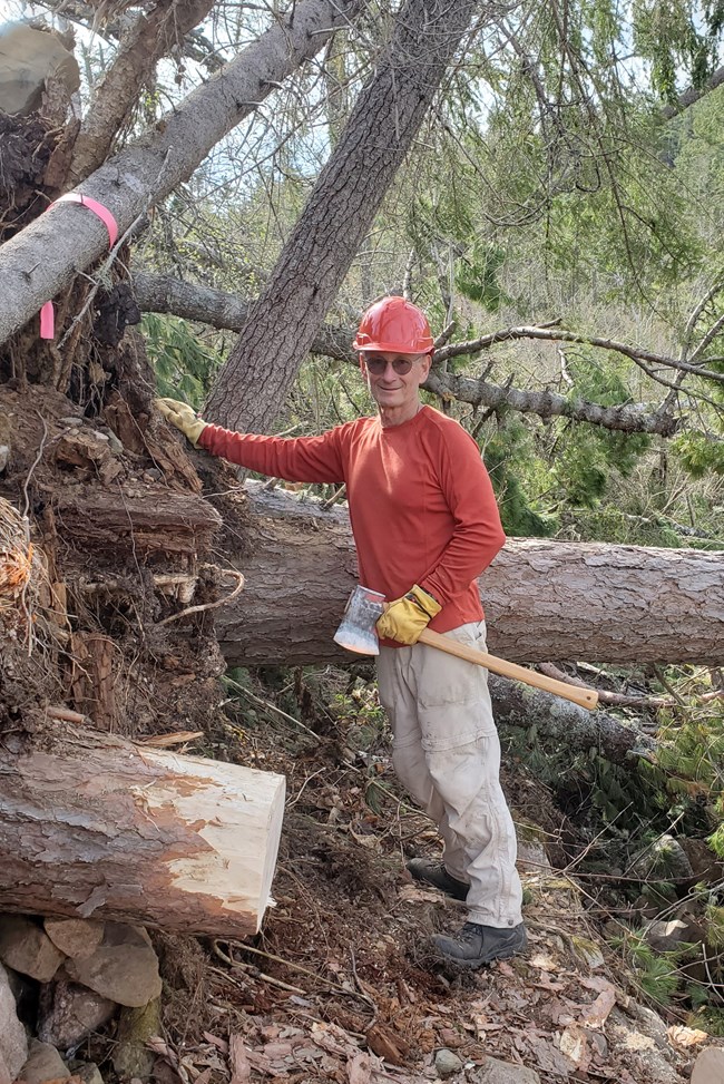: A man wearing a red shirt and red hard hat standing in front of a fallen tree trunk with a cross sawyer.