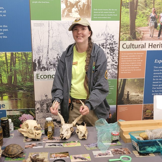 A woman stands wearing a hat and sweatshirt with the Volunteers-In-Parks logo in front of a table with a variety of skeletons and magnify glasses.