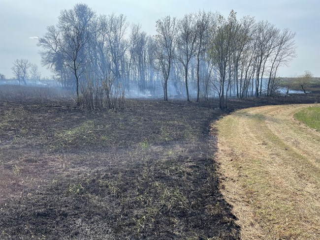 A prairie setting with a burned area visible