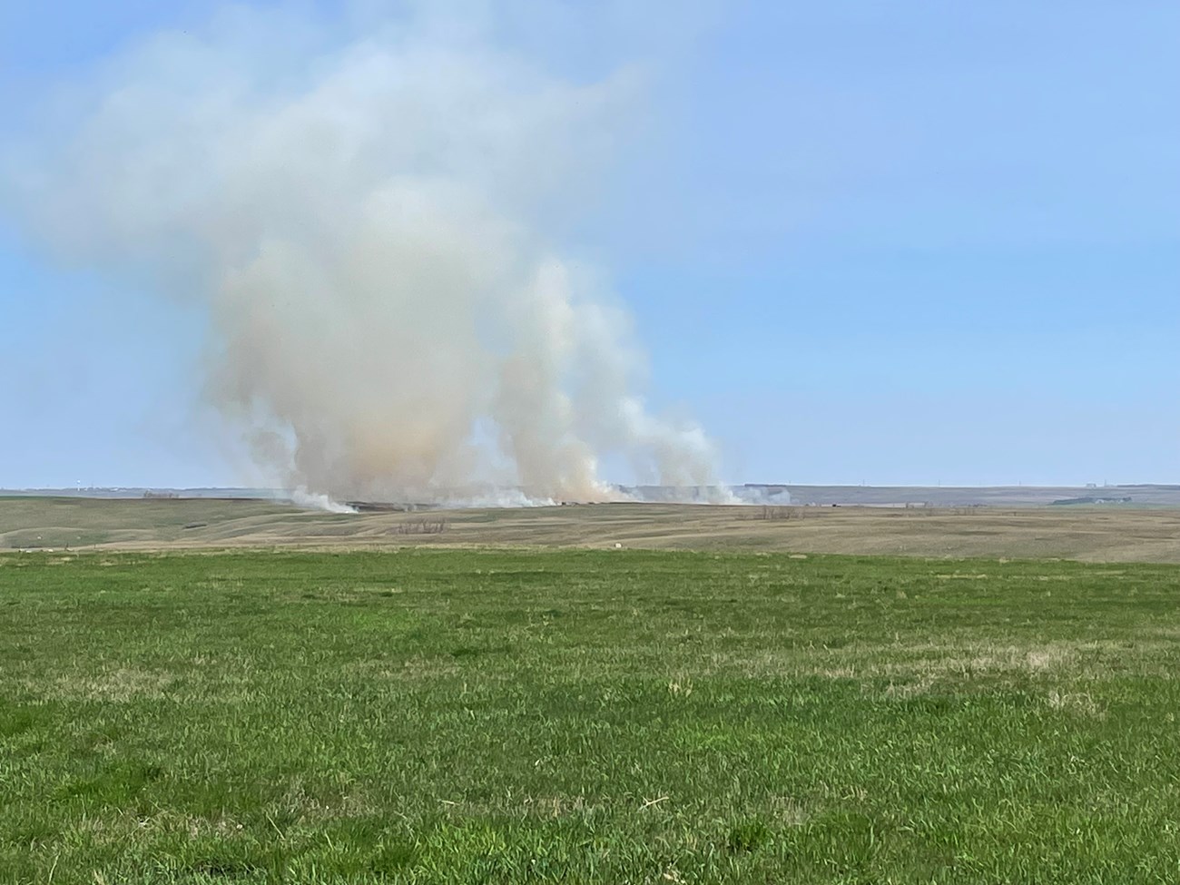 Smoke rises from a field of grass