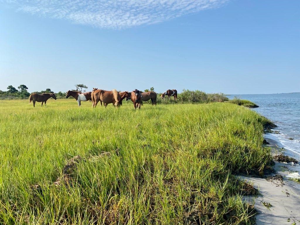 Pic 2_North End band two 2024