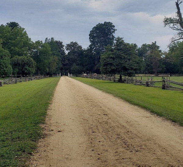 Image of Whitehall Road, a single, narrow, one-mile scenic and historic dirt road that runs down the center of the peninsula and is bisected by a handful of residential roads and drives.