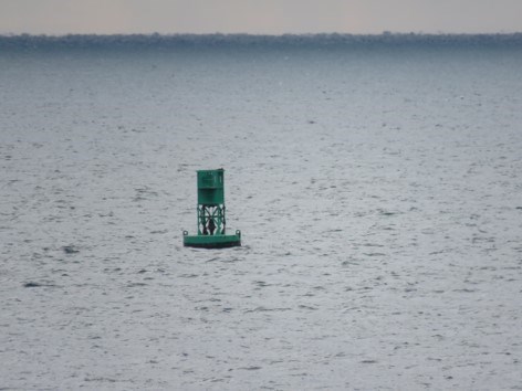 Green bell buoy floats in water along a shoreline